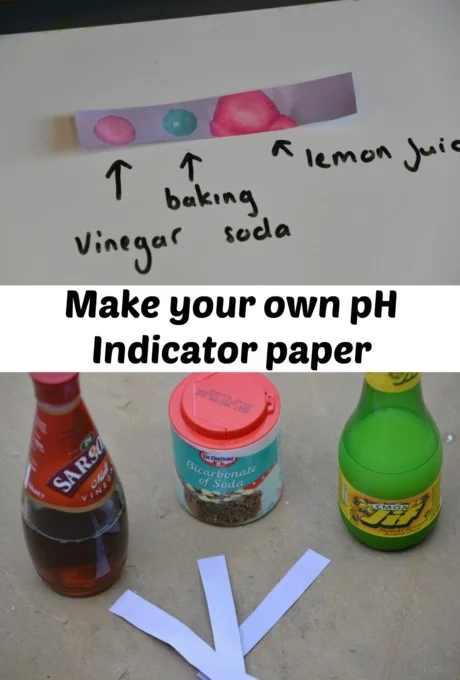 How to make ph indicator strips