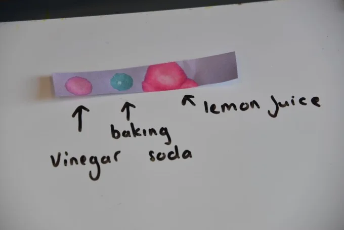 make ph indicator paper