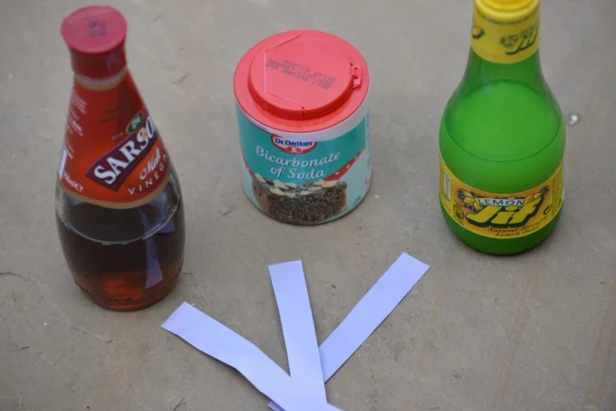 Create Your Own pH Test Strips with Red Cabbage