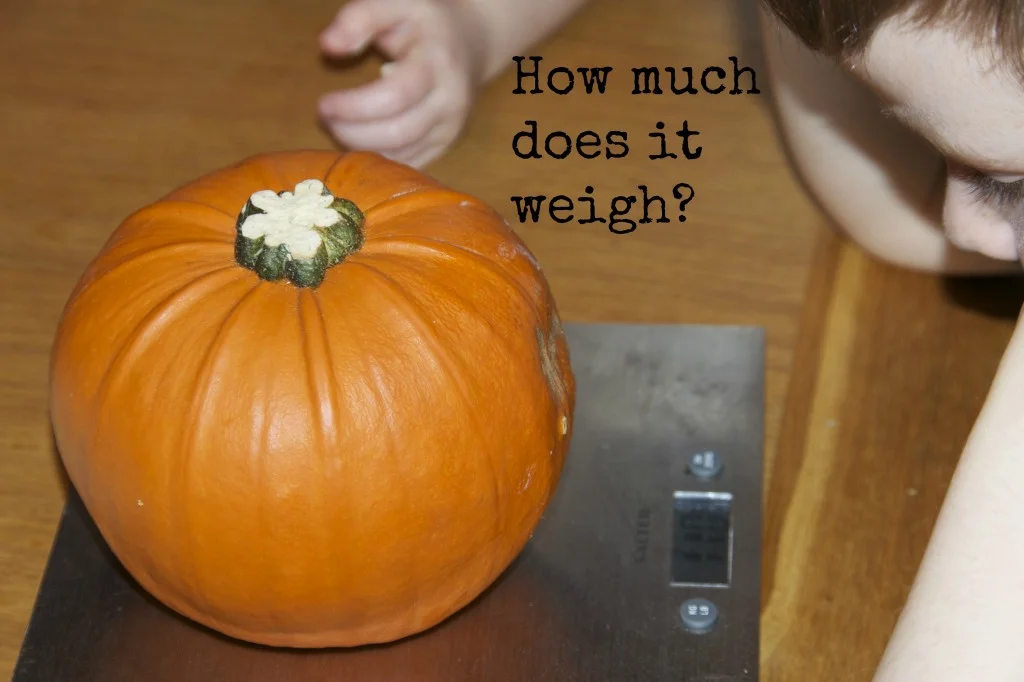 pumpkin on scales for a learning activity