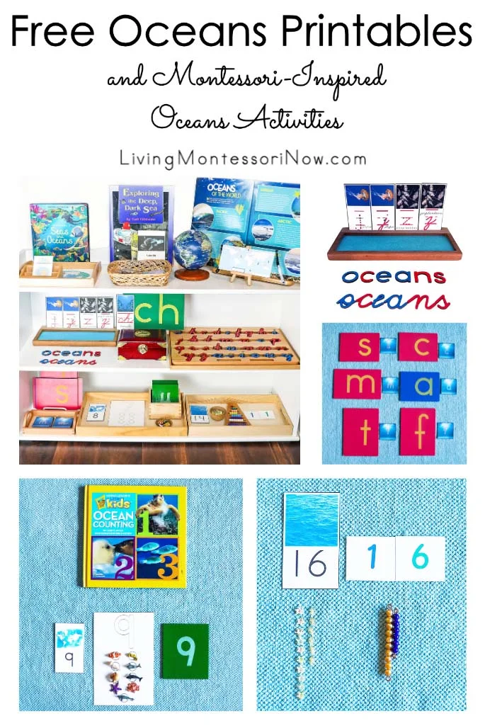 Free Oceans Printables and Montessori-Inspired Oceans Activities