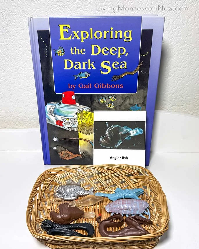 Exploring the Deep, Dark Sea Book with Deep Sea Creatures Figures and Cards Exploring the Deep, Dark Sea Book with Deep Sea Creatures Figures and Cards