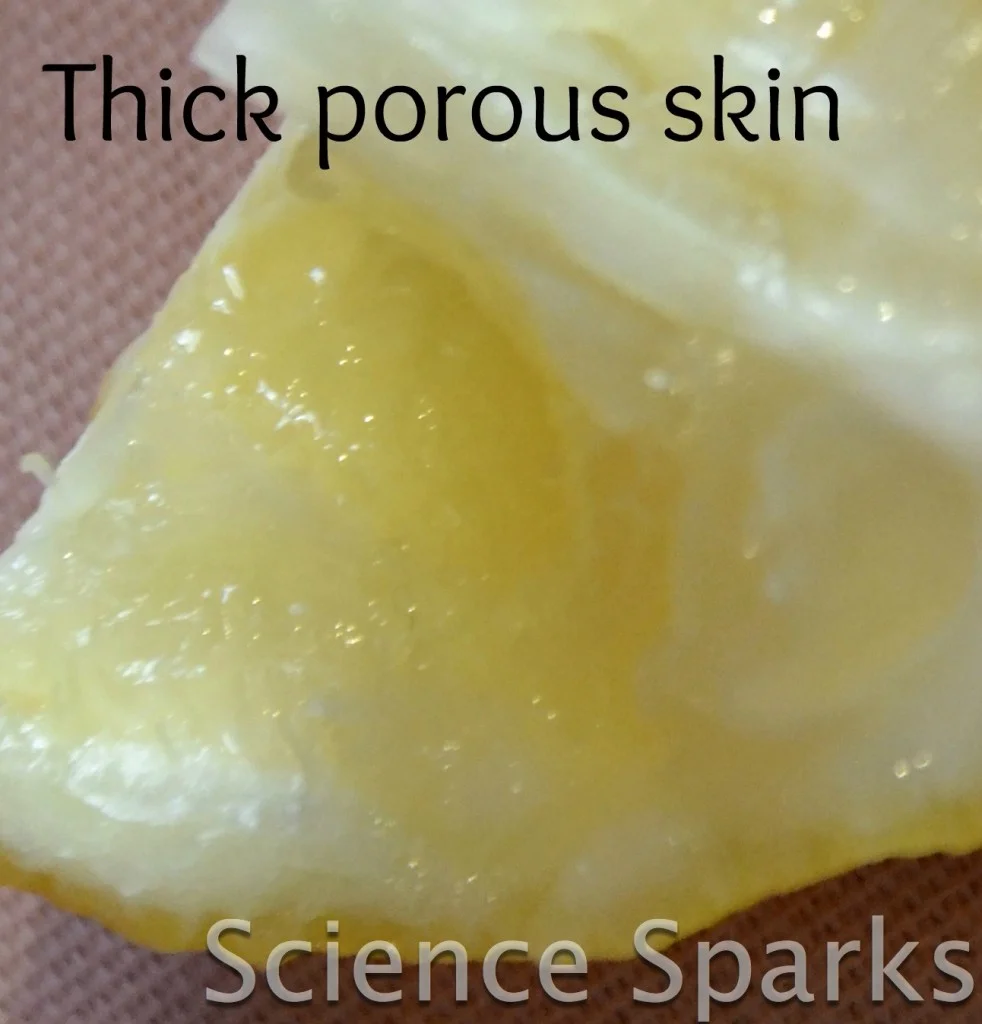 thick lemon skin
