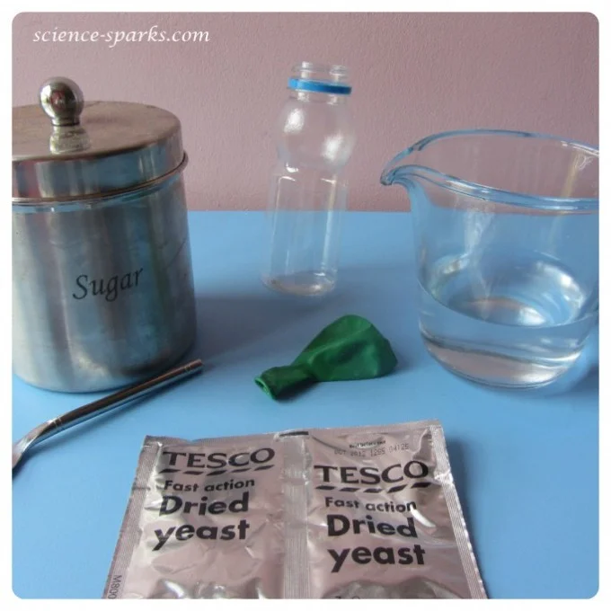 sugar, bottle, jug, yeast and balloon for a respiration activity