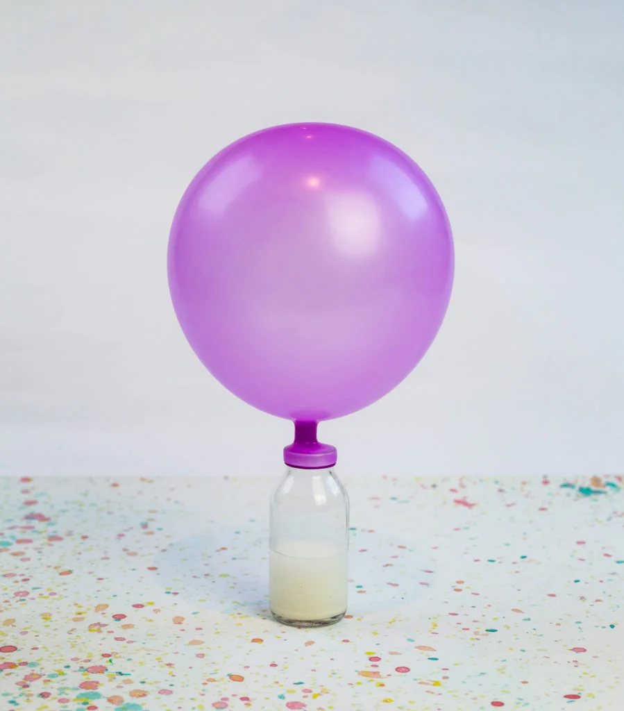 Balloon that has been blown up with carbon dioxide from yeast respiration