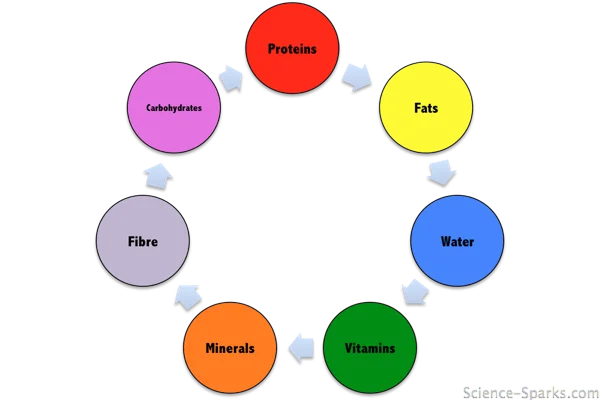 food groups, Science-sparks