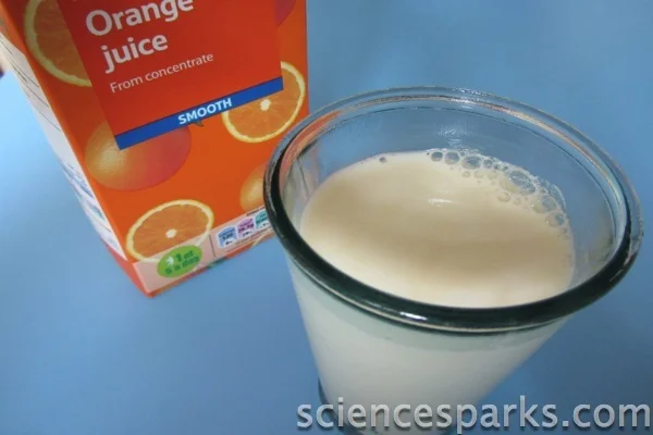 Understanding the Science Behind Milk Curdling