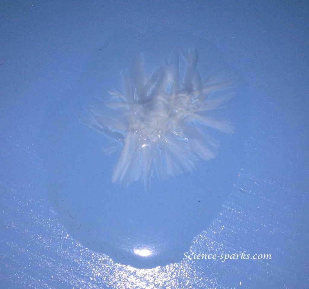 solution of sodium acetate with crystals forming