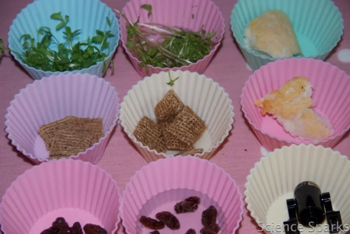 Exploring Wet and Dry: An Engaging Preschool Science Experiment