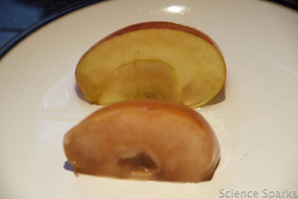 Apple rotting experiment - apples left in vinegar