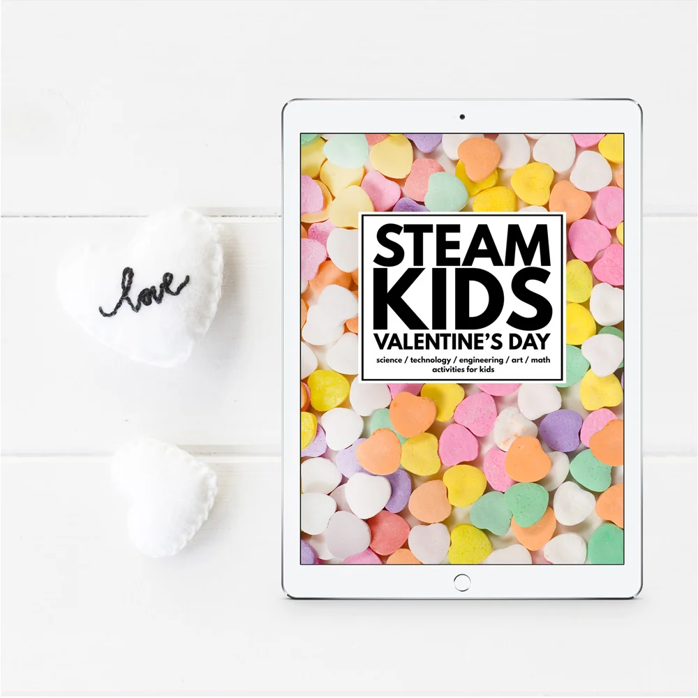 For-the-Love-of-STEAM-web