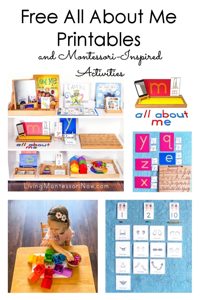 Free All About Me Printables and Montessori-Inspired Activities