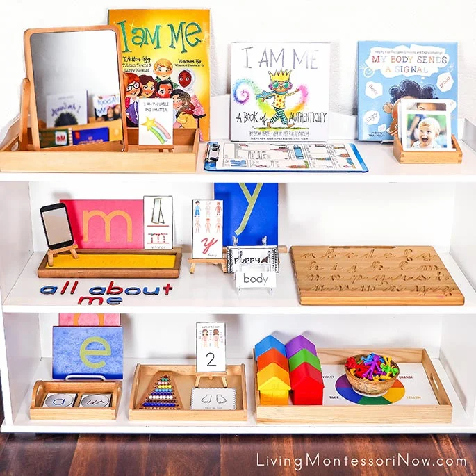Montessori Shelves with All About Me Themed Activities