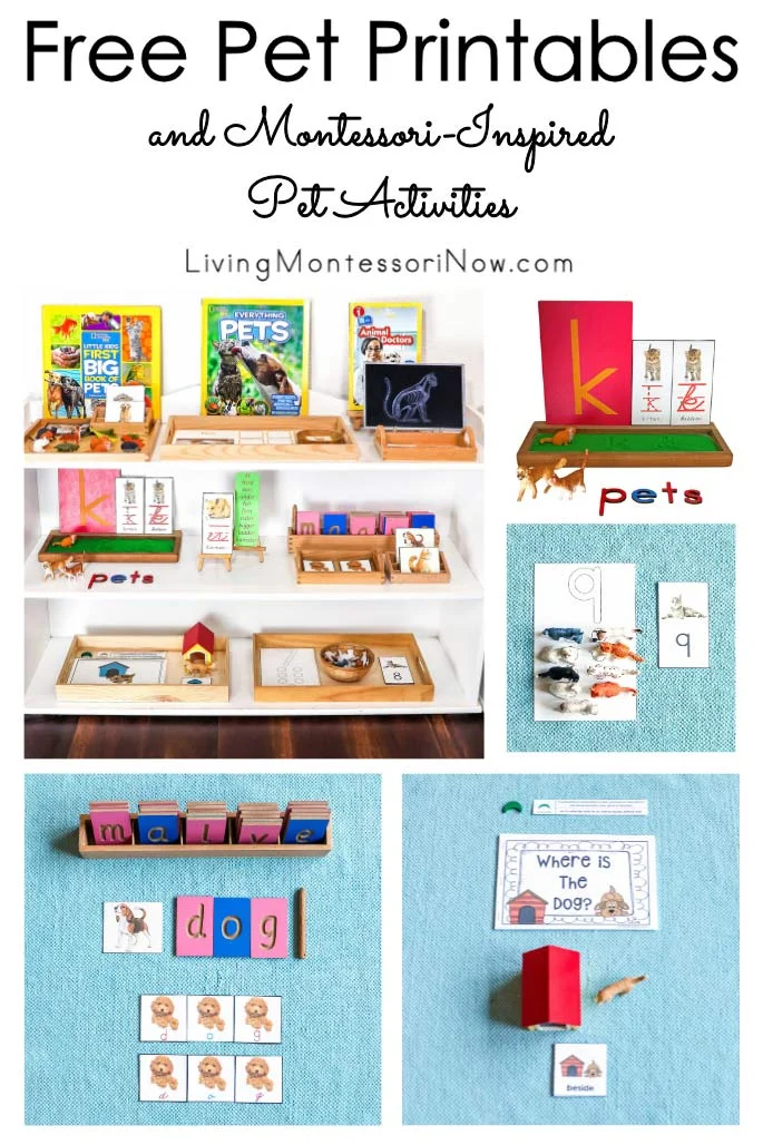 Free Pet Printables and Montessori-Inspired Pet Activities