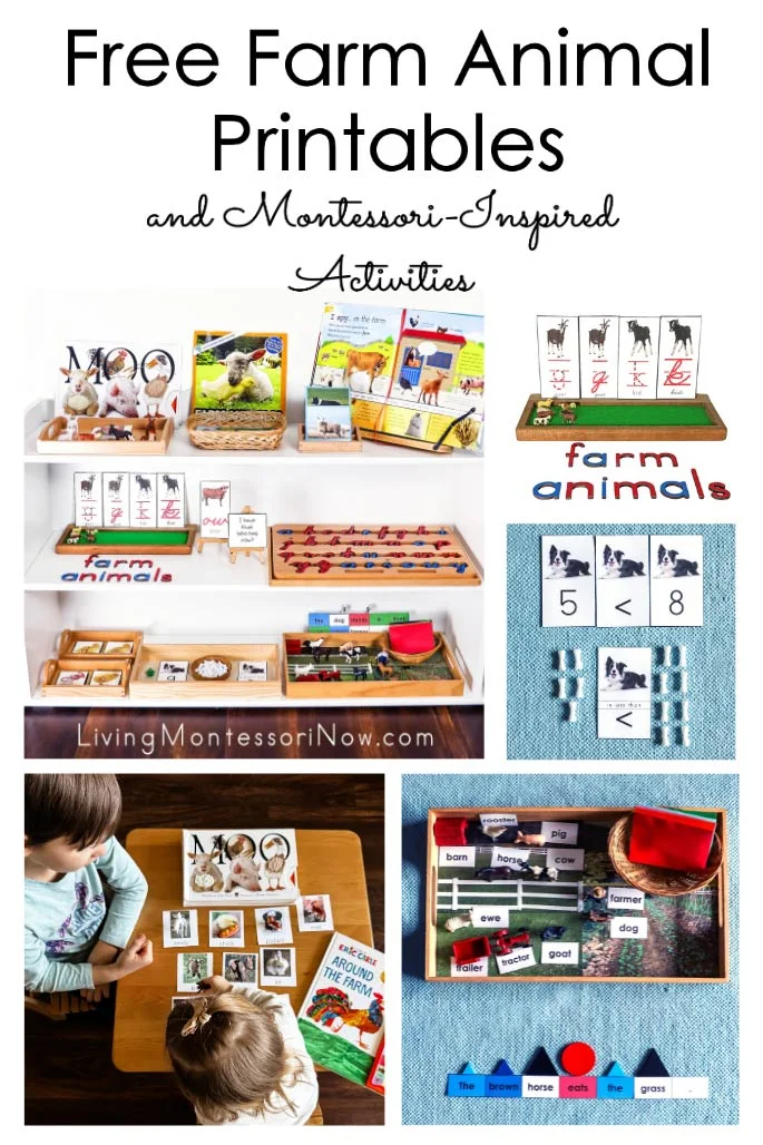 Free Farm Animal Printables and Montessori-Inspired Activities Free Farm Animal Printables