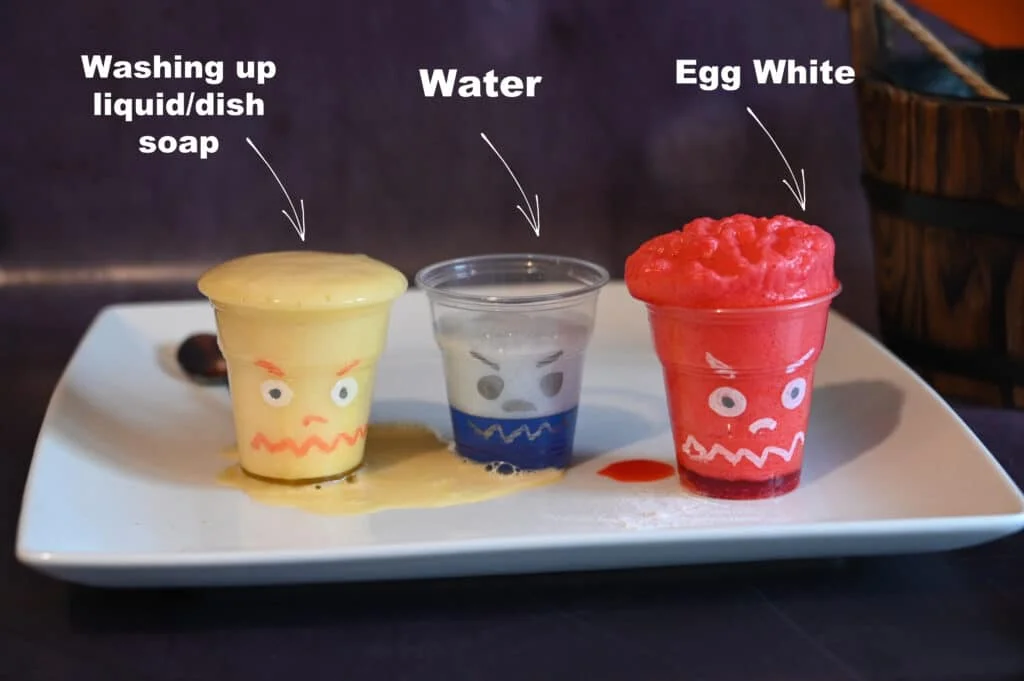 Experiment results