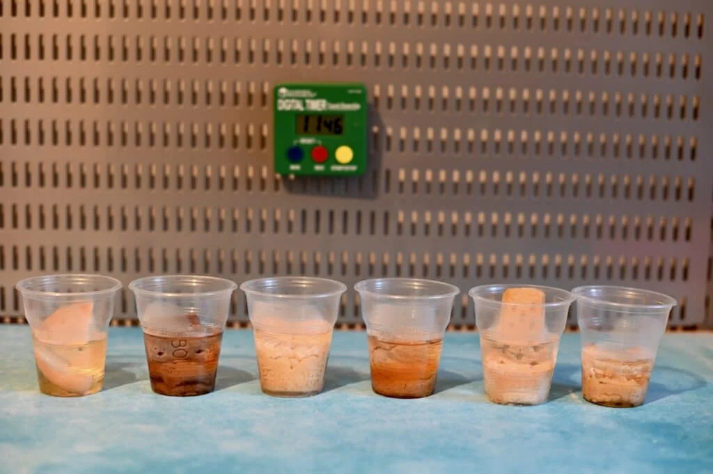 Biscuit dunking experiment