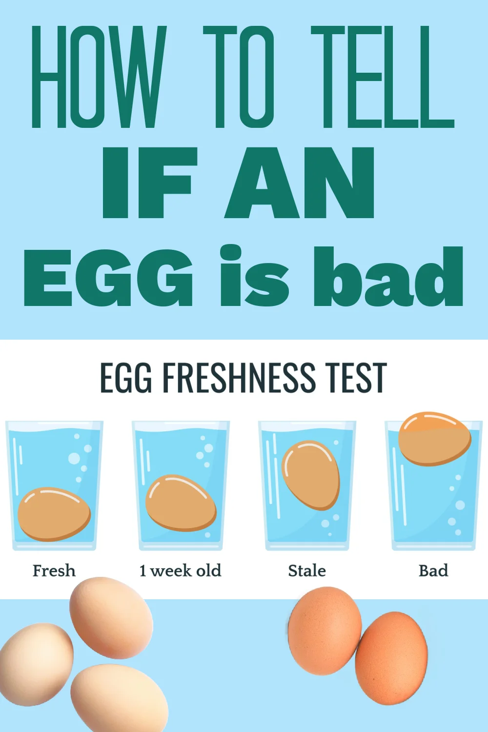 Simple Methods for Assessing Egg Freshness at Home