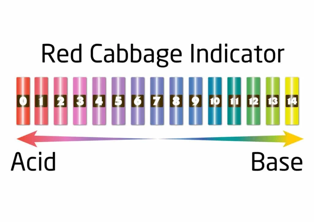 pH scale colors of red cabbage indicator