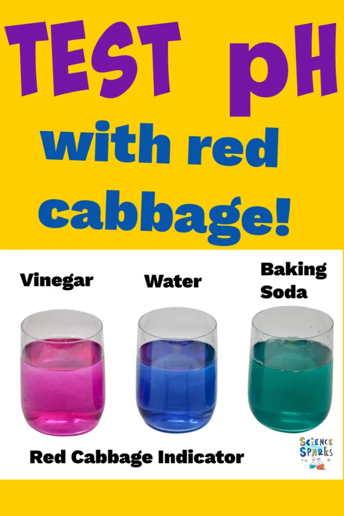 Red cabbage experiment