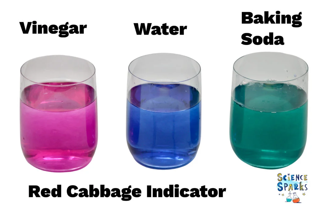 red cabbage indicator reactions