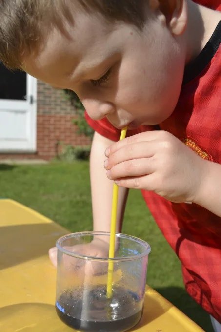 Exploring the Red Cabbage Indicator: A Fun DIY Breath Test