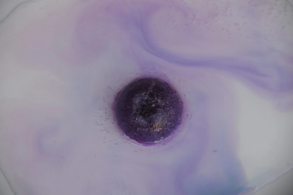 Exploring Educational Red Cabbage Science Experiments