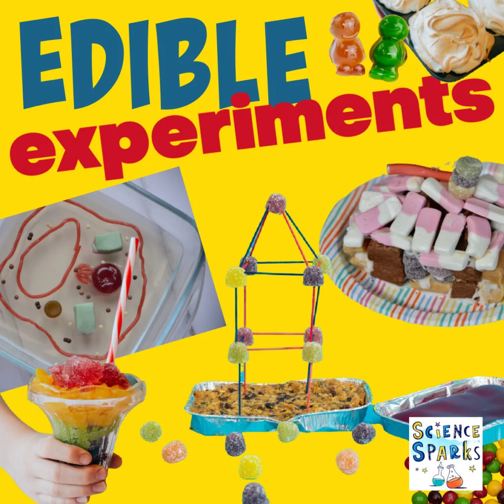 10 Engaging Edible Experiments for Young Scientists