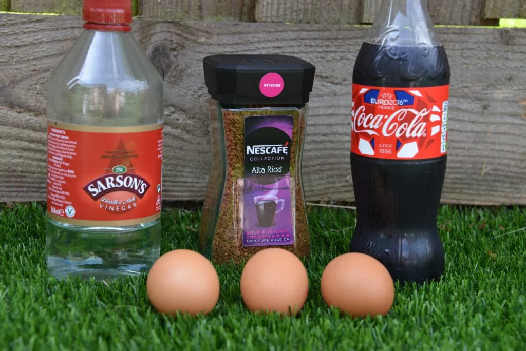 eggs, vinegar, coffee, and cola for a tooth decay experiment