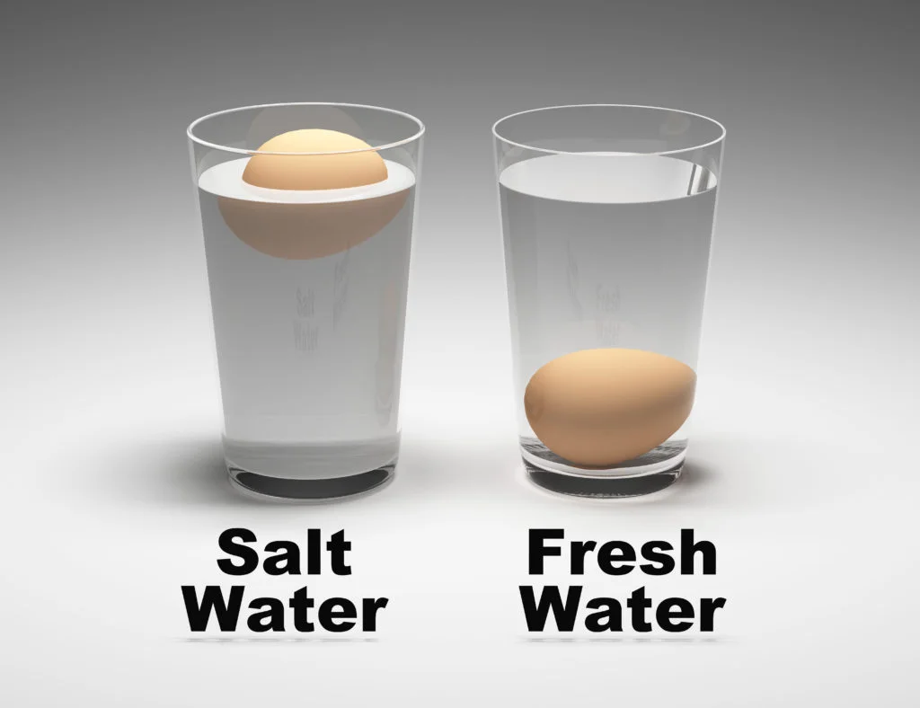 An egg floating in saltwater compared to one sinking in tap water
