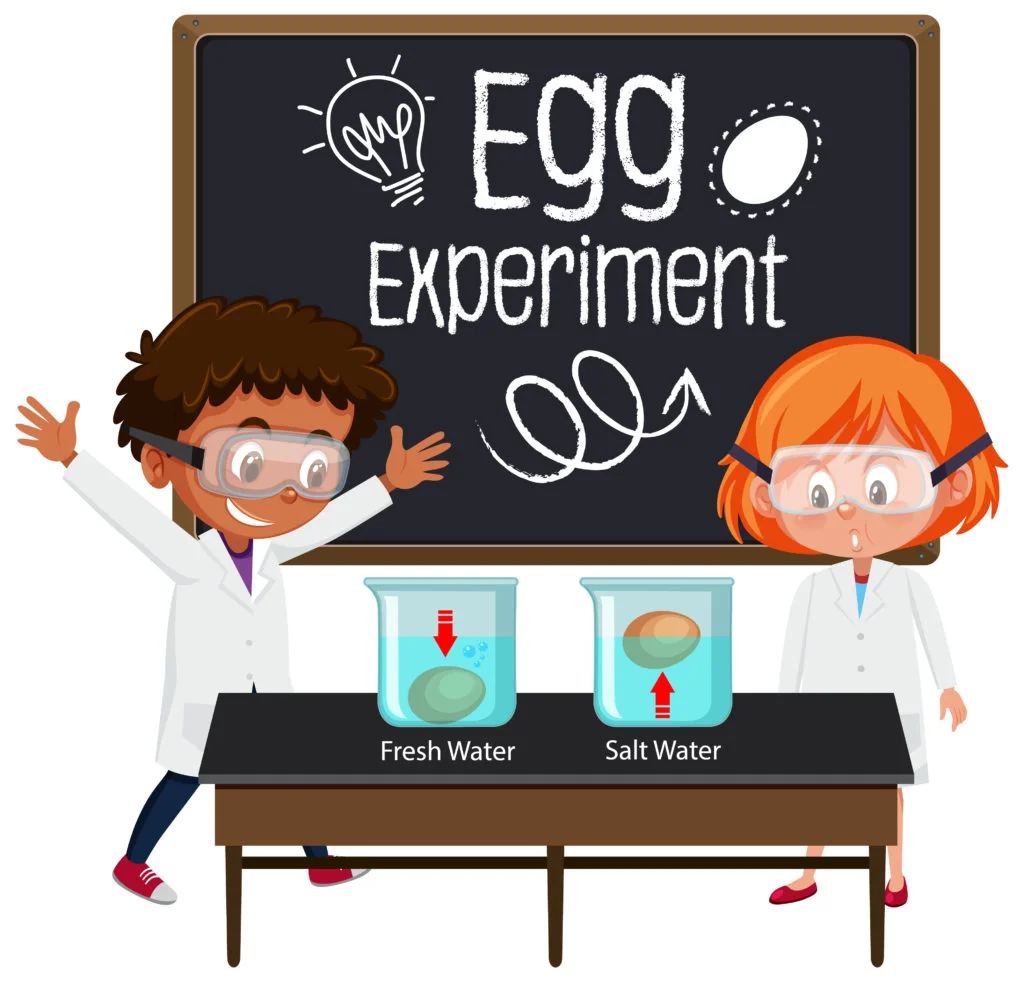 Children conducting an experiment with an egg in saltwater