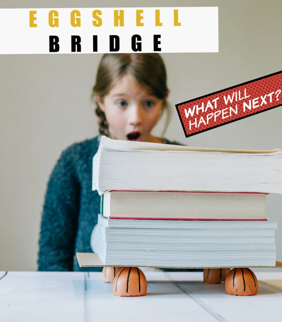 Eggshell bridge demonstration