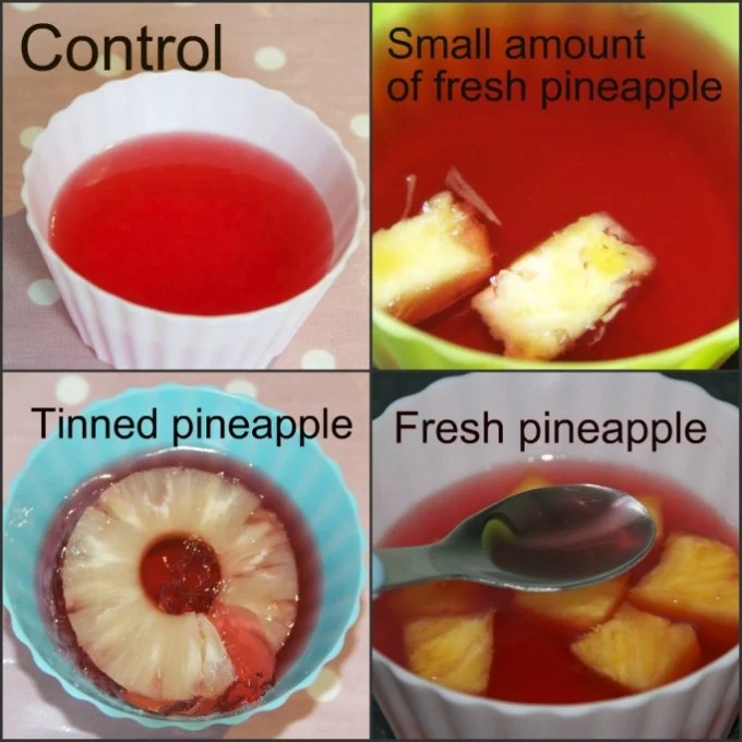 results of an investigation into why jelly doesn't set with pineapple. Why does pineapple stop jelly setting?