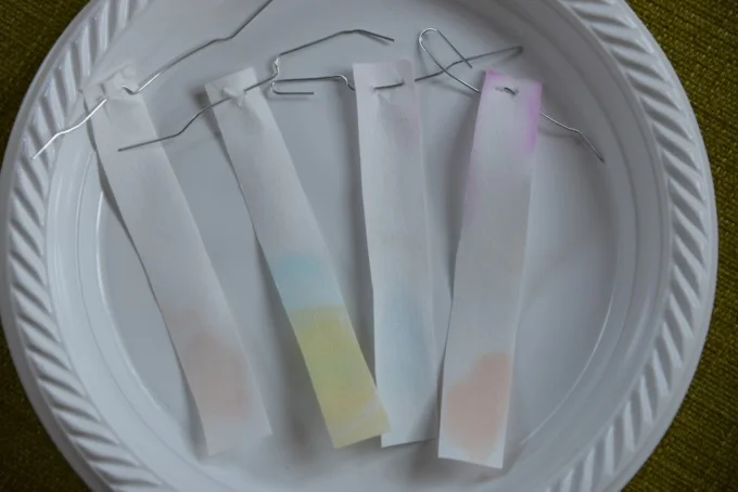 Filter paper showing color separation