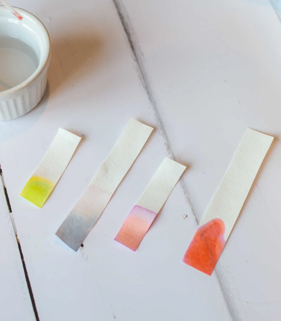 Exploring Candy Chromatography: A Colorful Science Experiment