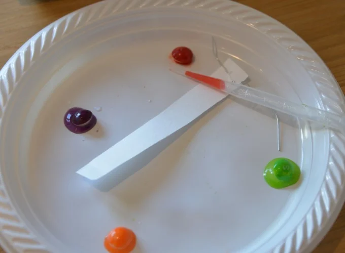 Candy Chromatography experiment for kids