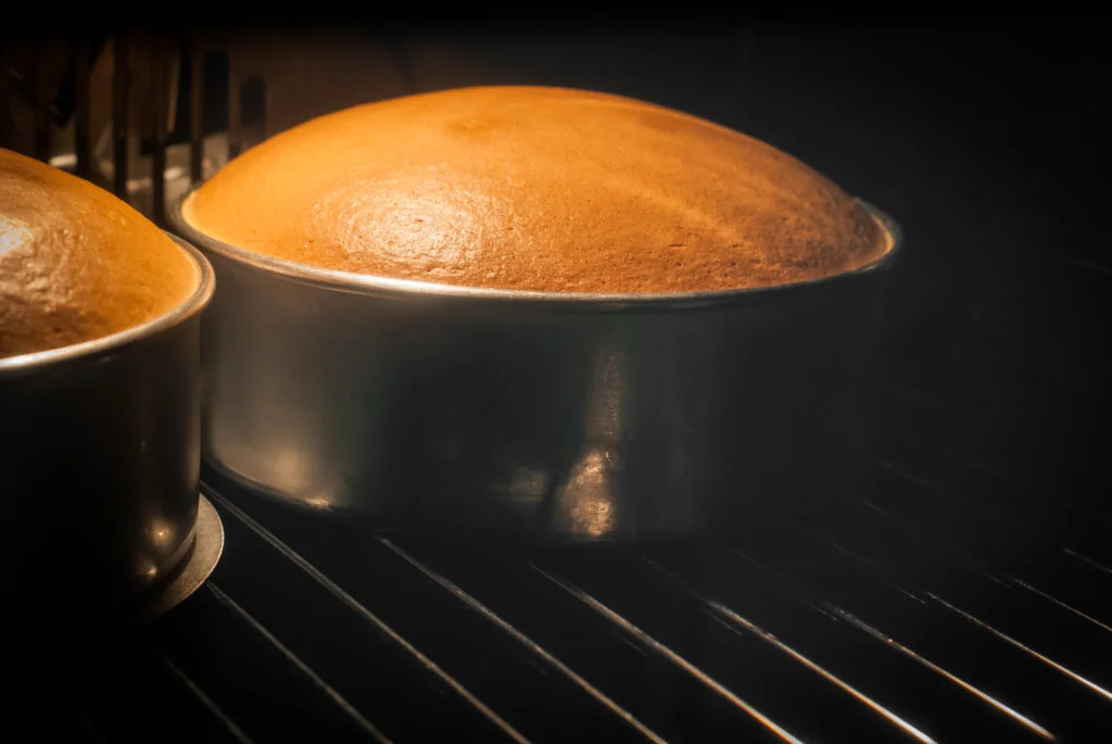 Understanding the Maillard Reaction: The Secret to Flavor in Cooking