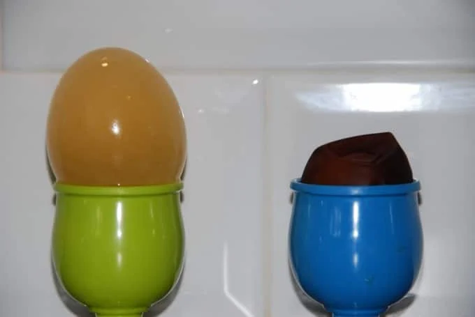 Osmosis experiment with eggs