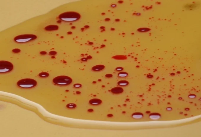 Colored water and oil in an experiment